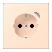 Jung BTLC1521SE238 JUNG HOME SCHUKO Steckdose Energy LC3212
