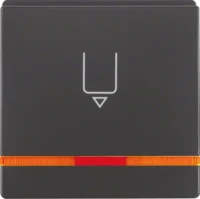 Berker Hotelcard-Schaltaufsatz anthrazit/sa, or Linse 16406086