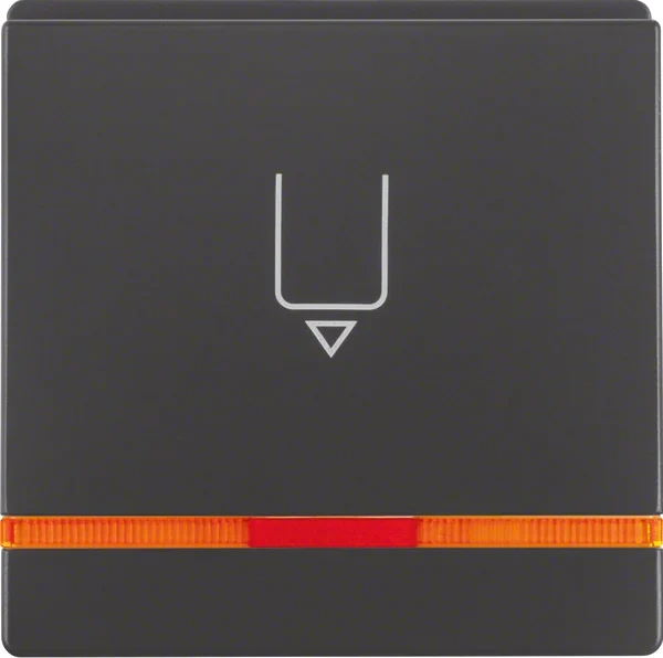 Berker Berker Hotelcard-Schaltaufsatz anthrazit/sa, or Linse 16406086