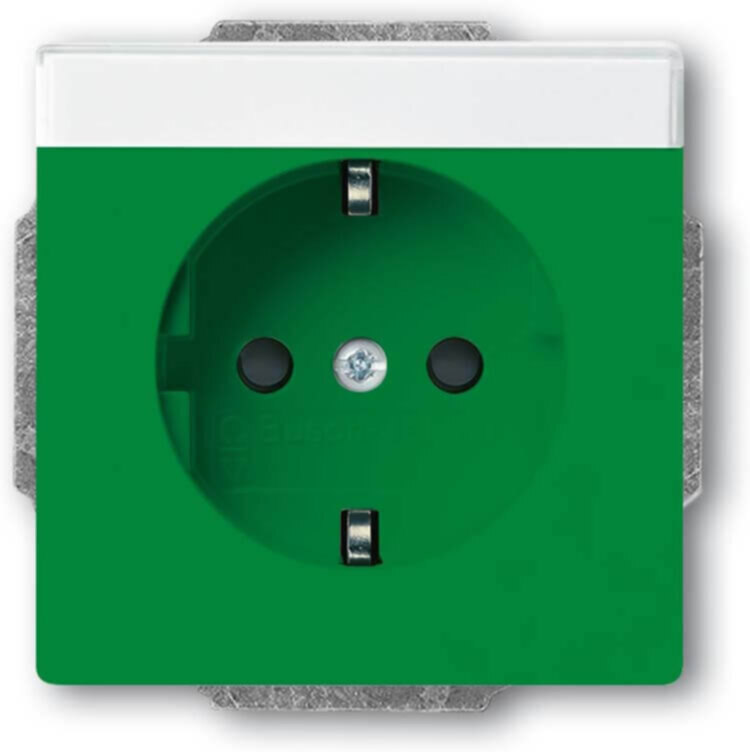 Busch-Jaeger Busch-Jaeger SCHUKO Steckdosen-Einsatz grün RAL6032 20 EUCNB-13-82