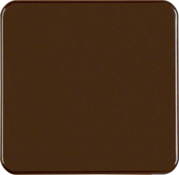 Berker Berker Wippe br/gl Unterputz, IP44 155001