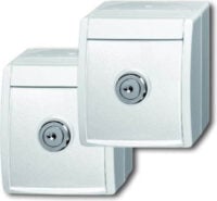 Busch-Jaeger Steckdose aufputz 20/20 EWSL-54