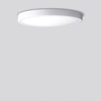 BEGA LED-Anbauleuchte 52,6W 3000K 6519lm 24230WK3 ws Konv DALI