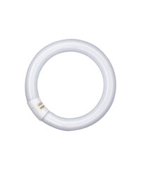 Osram L40W/840C G10q 29mm D:406mm FLH1 Ringform LLp LUMILUX Hellweiß