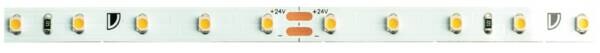 Rutec Rutec 82414 flexibel LEDStrip, 24V, Innen,6400K
