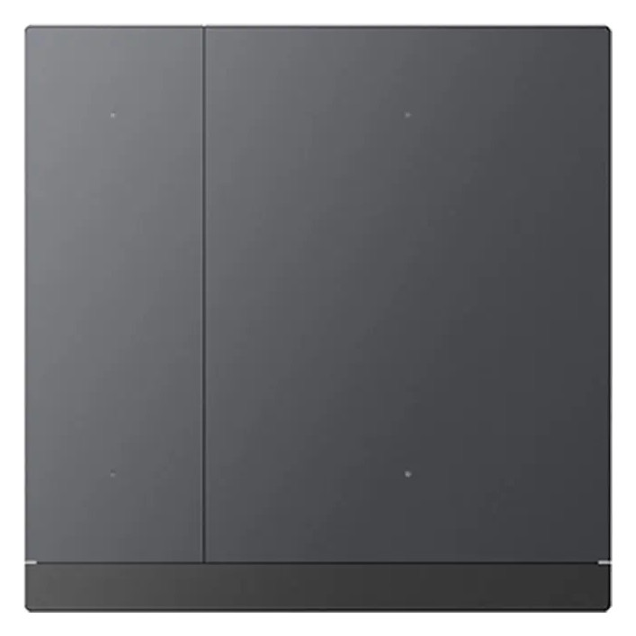 GVS WALTZ Tastsensor+ Aluminium Schwarz 2-fach