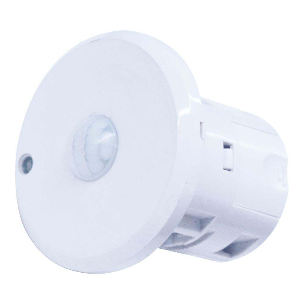 GVS GVS Helligkeits-und Bewegungsmelder 8M CSBP-02/00.2