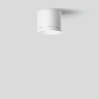 BEGA LED-Anbaustrahler 20,5W Konv DALI 24710WK3 1LED ws 3000K ws 1981lm ws mt