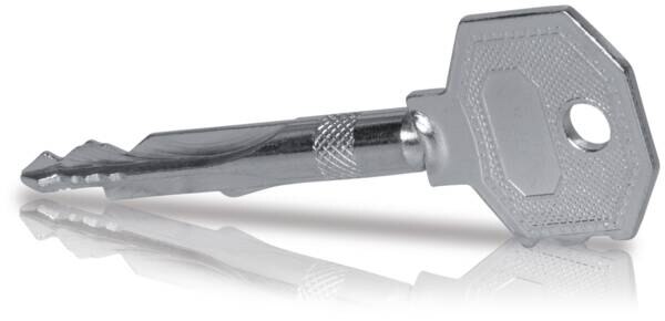F-Tronic F-tronic Schrankschlüssel Kreuzbart ZSTGSES
