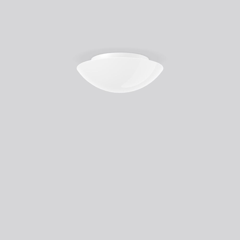 RZB RZB 211008.842.79 Wand-Deckenleuchte TC-TE 18W D300 H106 EVG