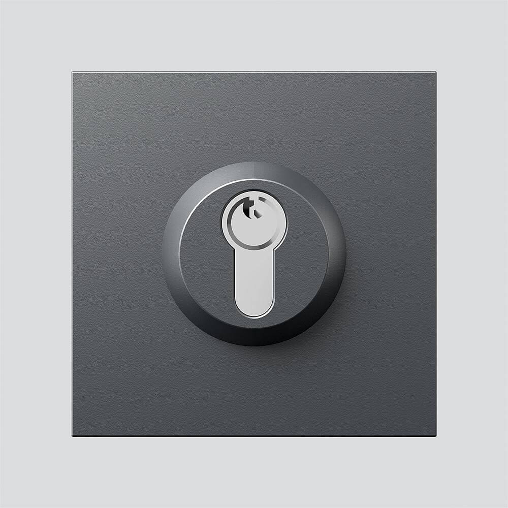 Siedle Siedle&Söhne Schloss-Modul dgr/gli SM 611-01 DG