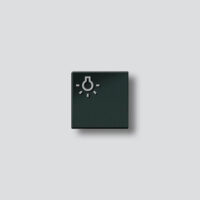 Siedle&Söhne Licht-Taste sw-hgl mit Lichtsymbol 200029978-00