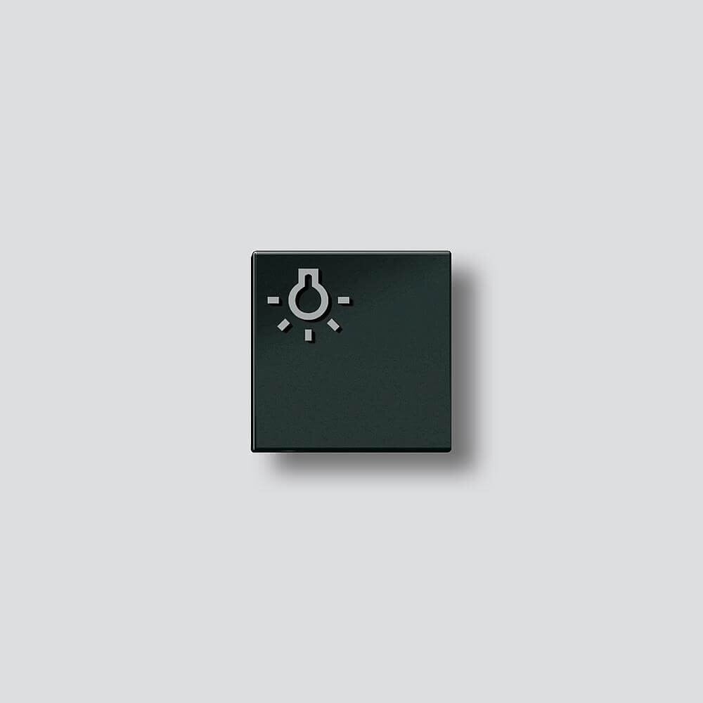 Siedle Siedle&Söhne Licht-Taste sw-hgl mit Lichtsymbol 200029978-00