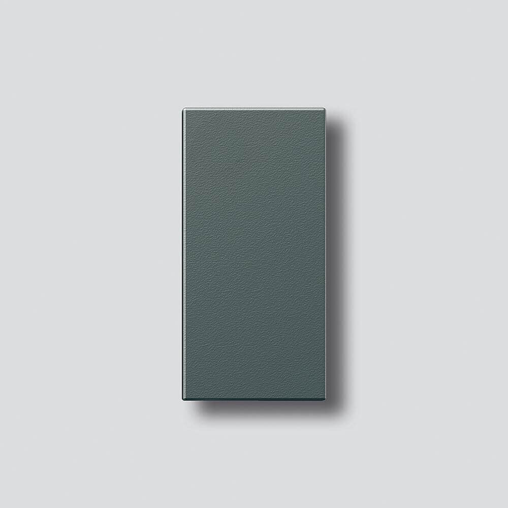 Siedle Siedle&Söhne Klingeltaste dgr-Glim ohne Glockensymbol 200029938-00