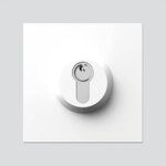Siedle&Söhne Schloss-Modul weiß SM 611-01 W