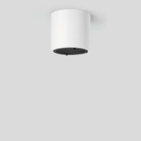 BEGA LED-Deckenanbauleuchte 36,5W 3000K 51215.1K3 2241lm ws Konv DALI