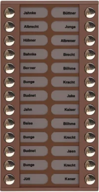 TCS Tür Control Audioaußenstation 2-reihig Erw.26 Tasten bronze PET26-EB/04