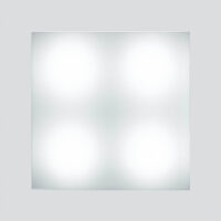 Siedle&Söhne LED-Lichtmodul LEDM 600-0