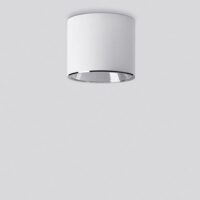 BEGA LED-Anbaustrahler 27,6W Konv DALI GENIUS 50494.1K3 1LED ws 3000K ws ws mt