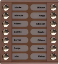 TCS Tür Control Audioaußenstation 2-reihig Erw.14 Tasten bronze PET14-EB/04