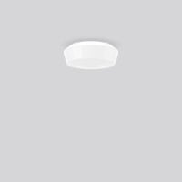 RZB 10120.002 Wand-Deckenleuchte A60 60W E27 D250 H105 DKN