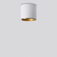 BEGA LED-Anbaustrahler 13,7W Konv DALI STUDIO LINE 50678.4K3 1LED ws 3000K ws