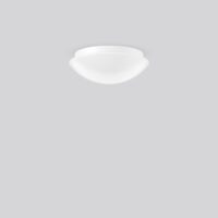 RZB 221023.002 Wand-Deckenleuchte A60 75W E27 D305 H115