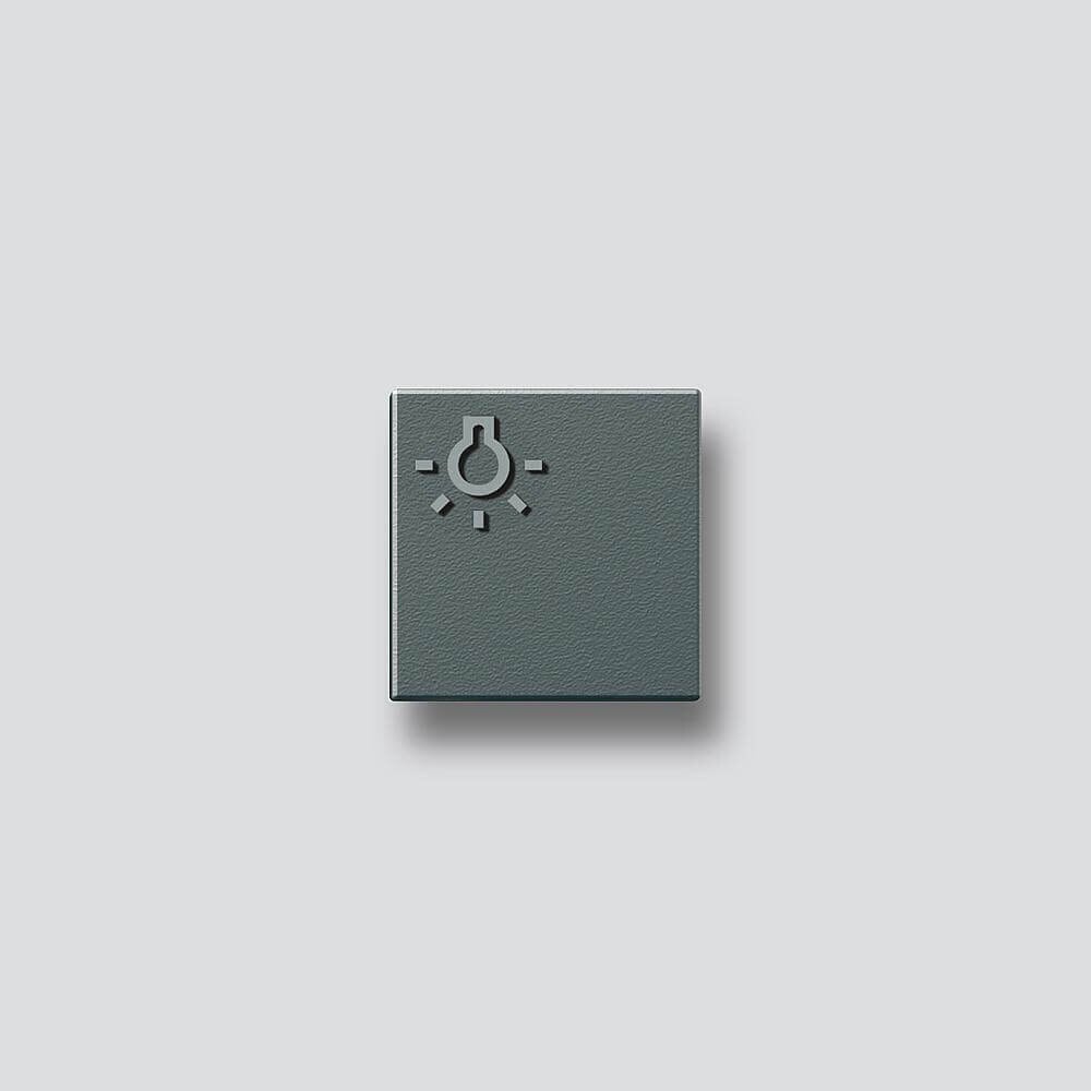 Siedle Siedle&Söhne Licht-Taste dgr-Glim mit Lichtsymbol 200029980-00