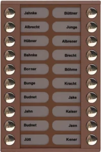 TCS Tür Control Audioaußenstation 2-reihig Erw.20 Tasten bronze PET20-EB/04