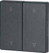 Eaton (Installation) Wippe 2-fach anthrazit, Jalo CWIZ-02/24