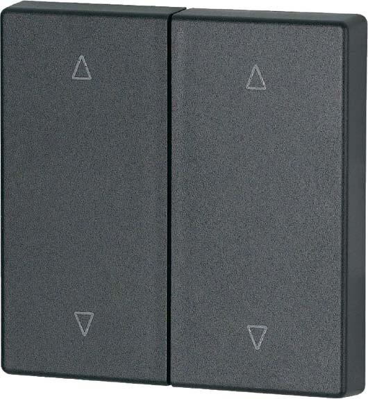 Eaton Eaton (Installation) Wippe 2-fach anthrazit, Jalo CWIZ-02/24
