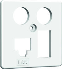 Zentralplatte HAXHSE-G0401-C024 HW-ZP-EK4 LAN/TAE 50mm reinweiß
