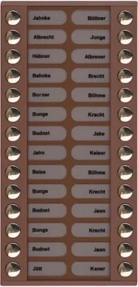 TCS Tür Control Audioaußenstation 2-reihig Erw.28 Tasten bronze PET28-EB/04