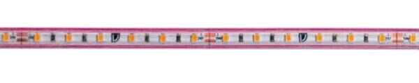 Rutec Flex. LED-Strip 24V 12W/m IP67 2700K VARDAflex Mini IP67-5-Meter-Rolle PGI677