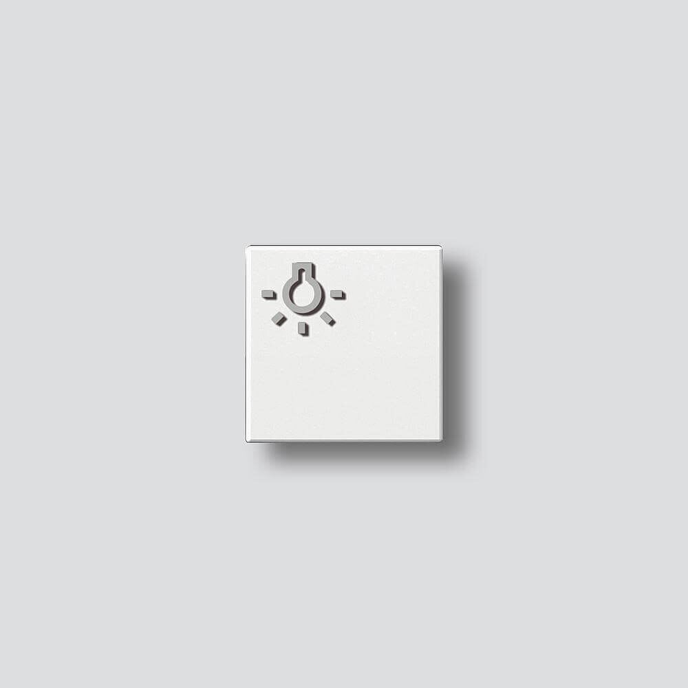 Siedle Siedle&Söhne Licht-Taste ws-hgl mit Lichtsymbol 200029977-00