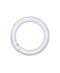 Osram L32W 840C G10q 29mm D:305mm FLH1 Ringform LLp LUMILUX Hellweiß
