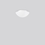 RZB 211005.002 Wand-Deckenleuchte A60 60W E27 D250 H106