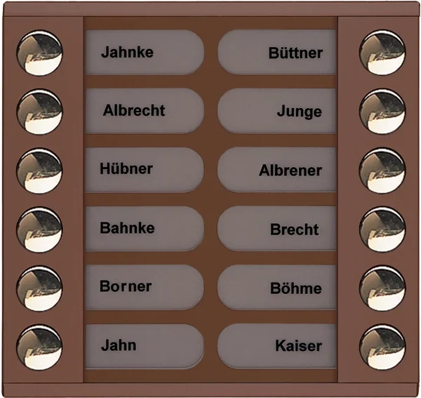 TCS TCS Tür Control Audioaußenstation 2-reihig Erw.12 Tasten bronze PET12-EB/04