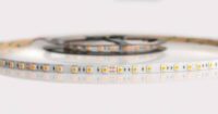 Flex. LED-Strip 24V 14 4W/m Innen 1700K VARDAflex Plus Profi5-Meter-Rolle PHF151