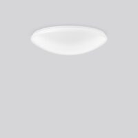 RZB 311947.002.3 Wand-Deckenleuchte LED 20,4W-4000K D460 H120 PMMA 2050lm