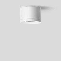 BEGA LED-Deckenanbauleuchte 36,7W 4000K 24753WK4 4990lm ws Konv DALI