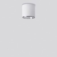 BEGA LED-Anbaustrahler 13,7W Konv DALI GENIUS 50492.1K3 1LED ws 3000K ws ws mt