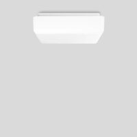 BEGA LED-Anbauleuchte 17,6W 2700K 1839lm 50302K27 ws Konv