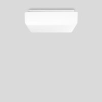 BEGA LED-Anbauleuchte 26,5W 2700K 3102lm 50307PK27 ws Konv DALI