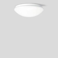 BEGA LED-Anbauleuchte 19,6W 2700K 1588lm 12140K27 ws Konv DALI