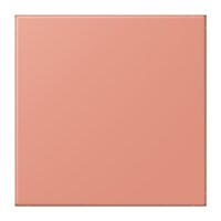 Jung NRS LC 0834 NT 233 Notrufsystem Netzteil Serie LS locre rouge moyen