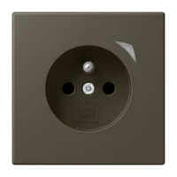 Jung BT LC 1521 F SE 241 JUNG HOME Steckdose Energy französisch/belgisches