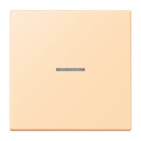Jung FM LC 1700 223 eNet Taster Standard 1-fach Duroplast lackiert Serie LS ocre