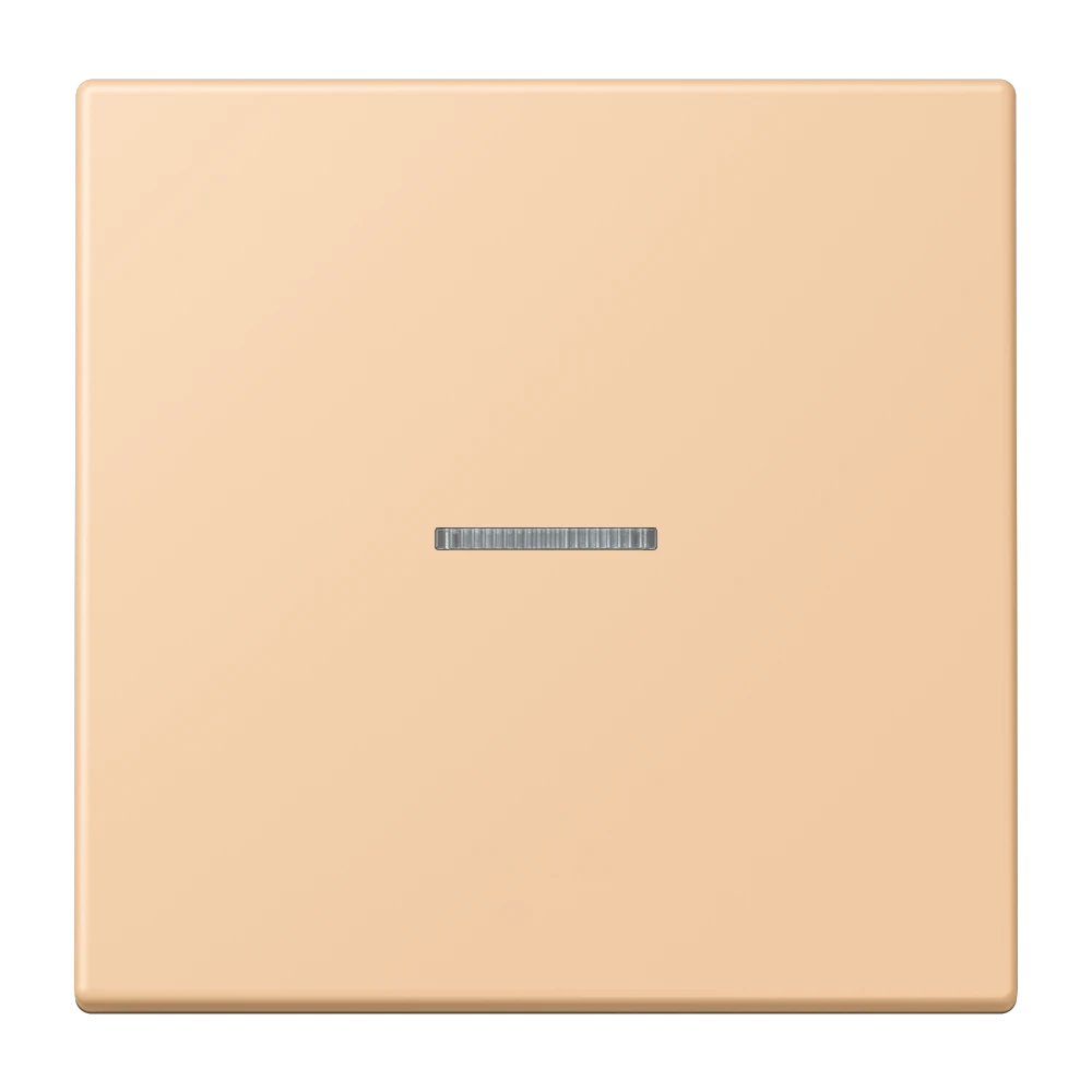 Jung Jung FM LC 1700 237 eNet Taster Standard 1-fach Duroplast lackiert Serie LS terre
