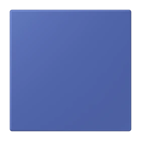 Jung Jung NRS LC 0834 NT 206 Notrufsystem Netzteil Serie LS bleu outremer 31